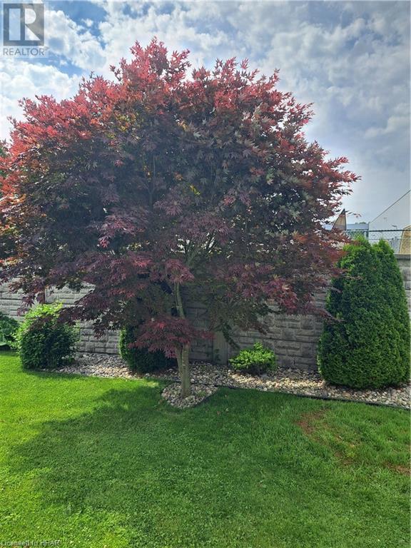 454 Richard Crescent, Strathroy, Ontario  N7G 3P4 - Photo 12 - 40601606