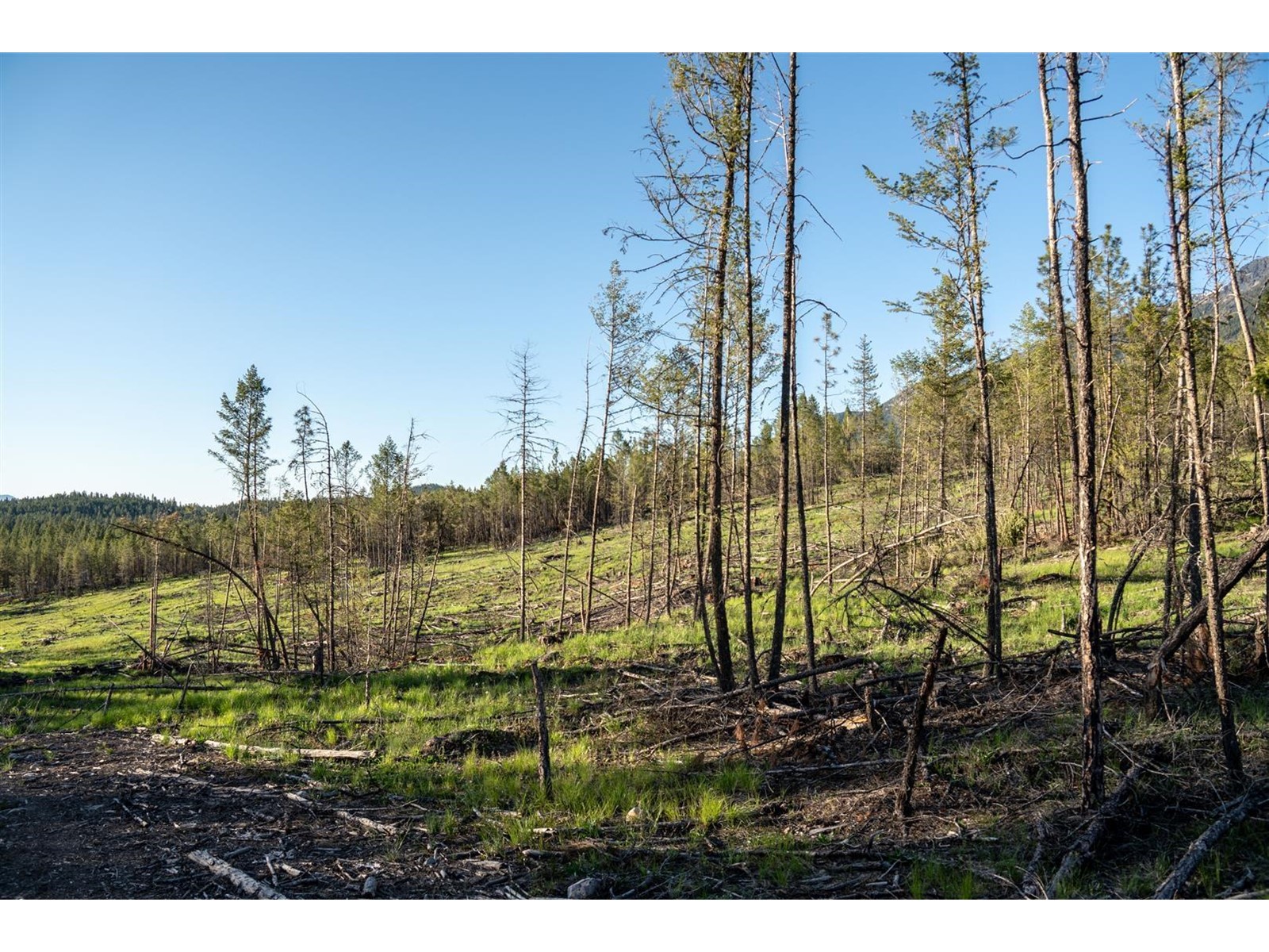 Dl 15050 Highway 93/95, Wasa, British Columbia  V0B 2K0 - Photo 10 - 2477507