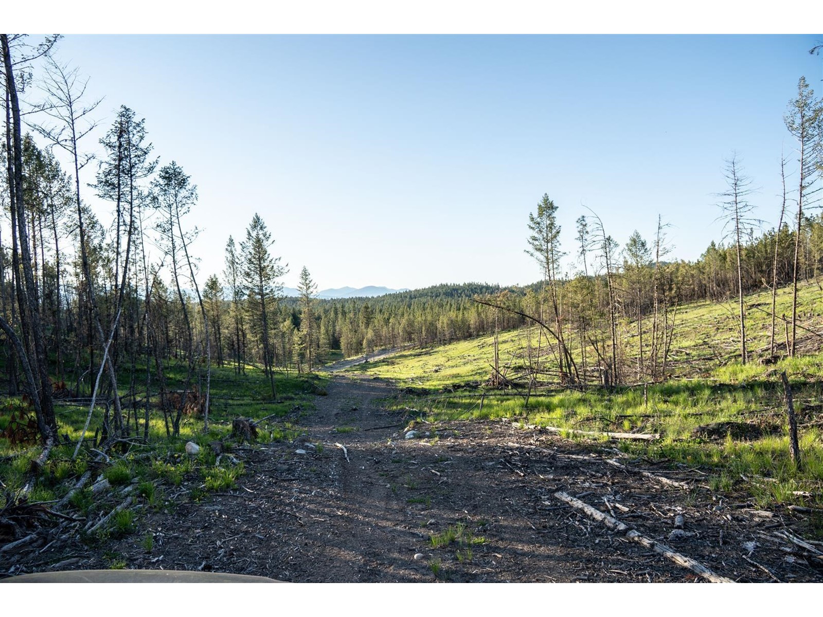 Dl 15050 Highway 93/95, Wasa, British Columbia  V0B 2K0 - Photo 11 - 2477507