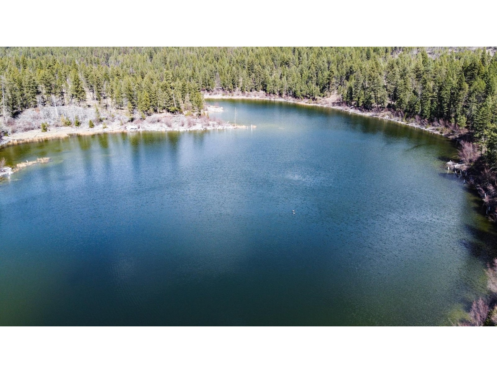 Dl 15050 Highway 93/95, Wasa, British Columbia  V0B 2K0 - Photo 14 - 2477507