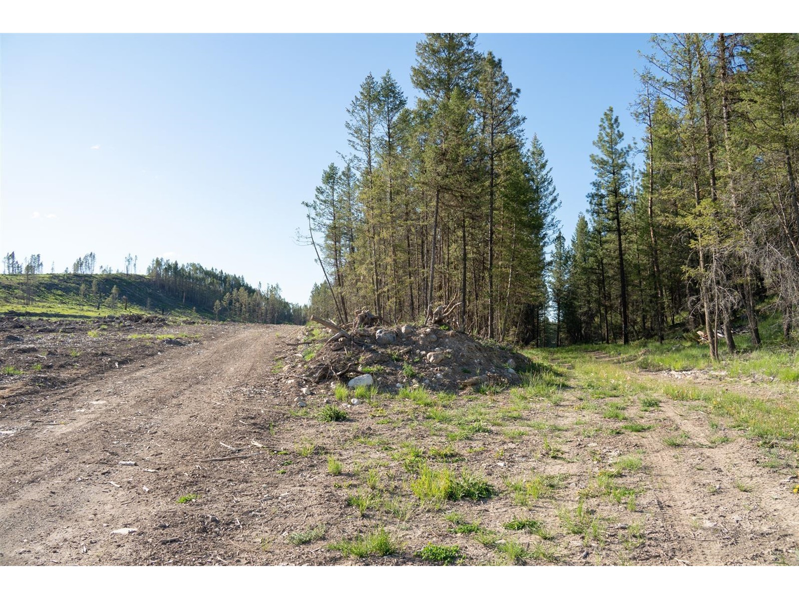 Dl 15050 Highway 93/95, Wasa, British Columbia  V0B 2K0 - Photo 3 - 2477507