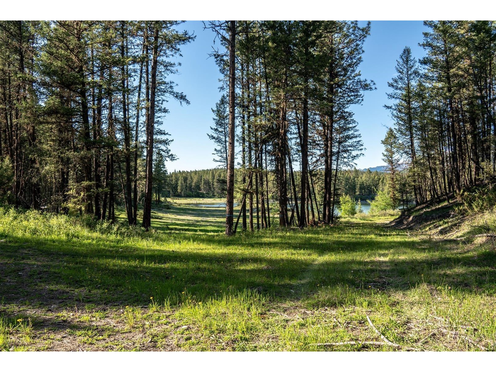 Dl 15050 Highway 93/95, Wasa, British Columbia  V0B 2K0 - Photo 4 - 2477507