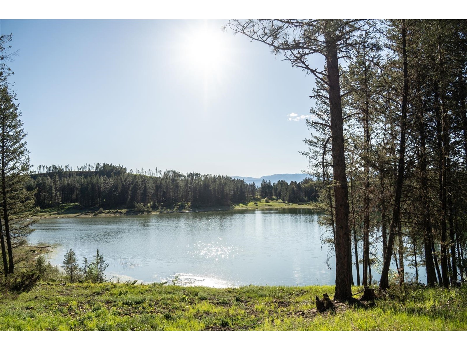 Dl 15050 Highway 93/95, Wasa, British Columbia  V0B 2K0 - Photo 6 - 2477507