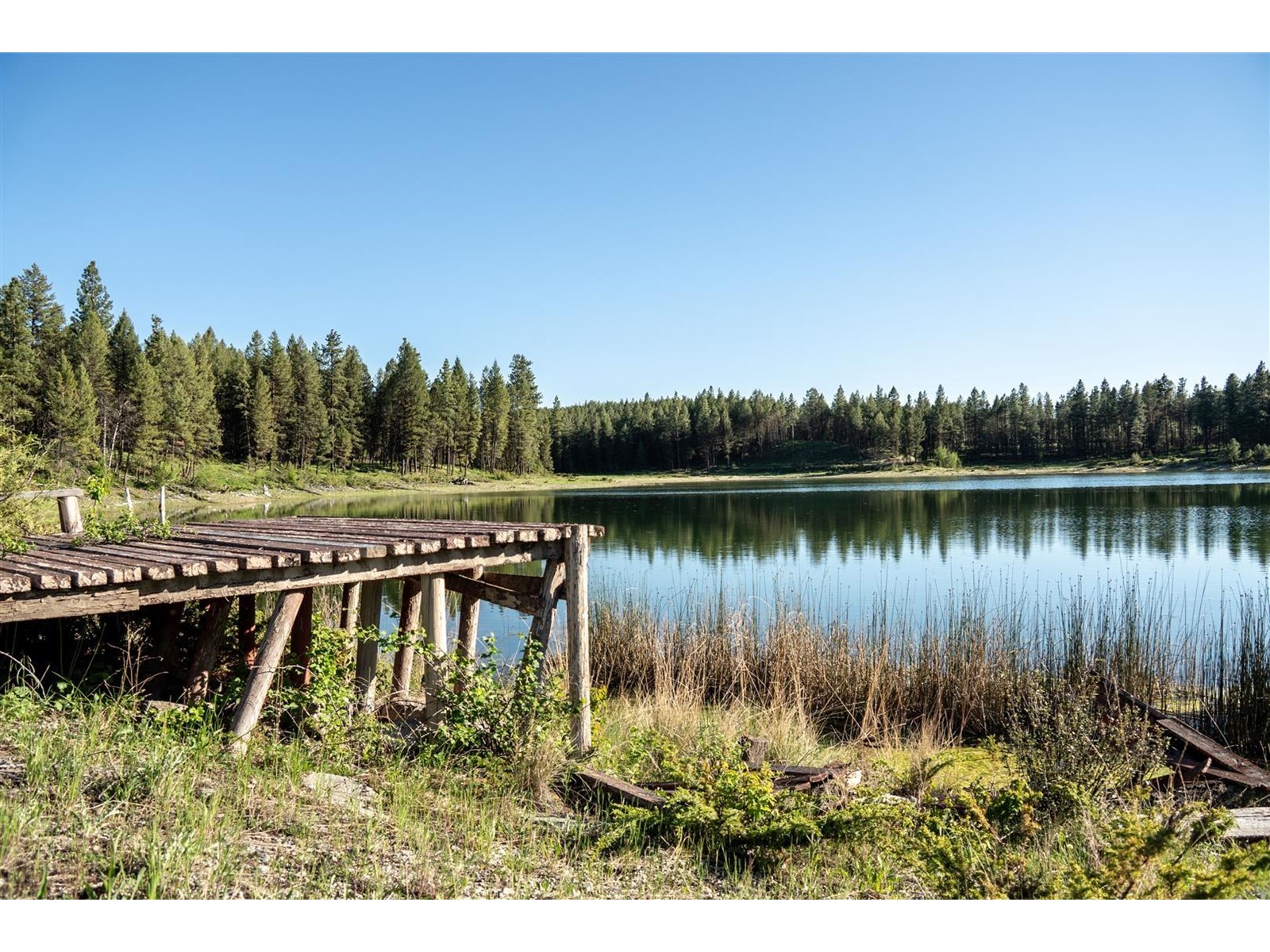 Dl 15050 Highway 93/95, Wasa, British Columbia  V0B 2K0 - Photo 9 - 2477507