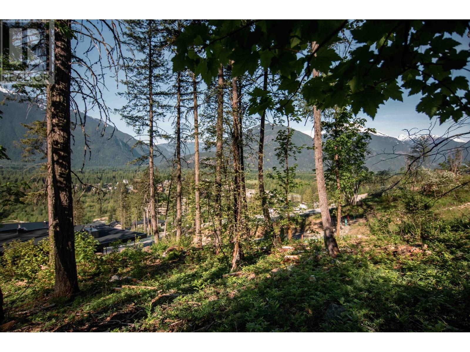 9000 Sun God Mountain Way, Pemberton, British Columbia V0N 2L3 - Photo 3 - R2891223