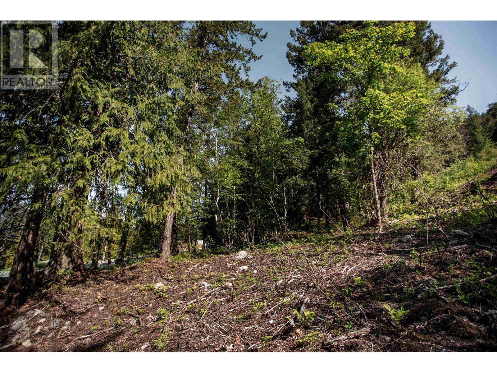 9005 Sun God Mountain Way, Pemberton, British Columbia V0N 2L3 - Photo 6 - R2891231