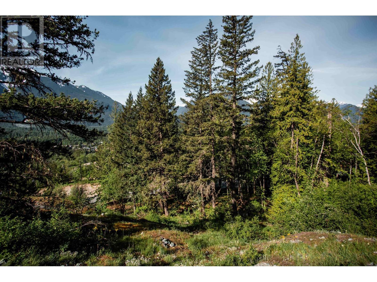 9005 Sun God Mountain Way, Pemberton, British Columbia V0N 2L3 - Photo 8 - R2891231