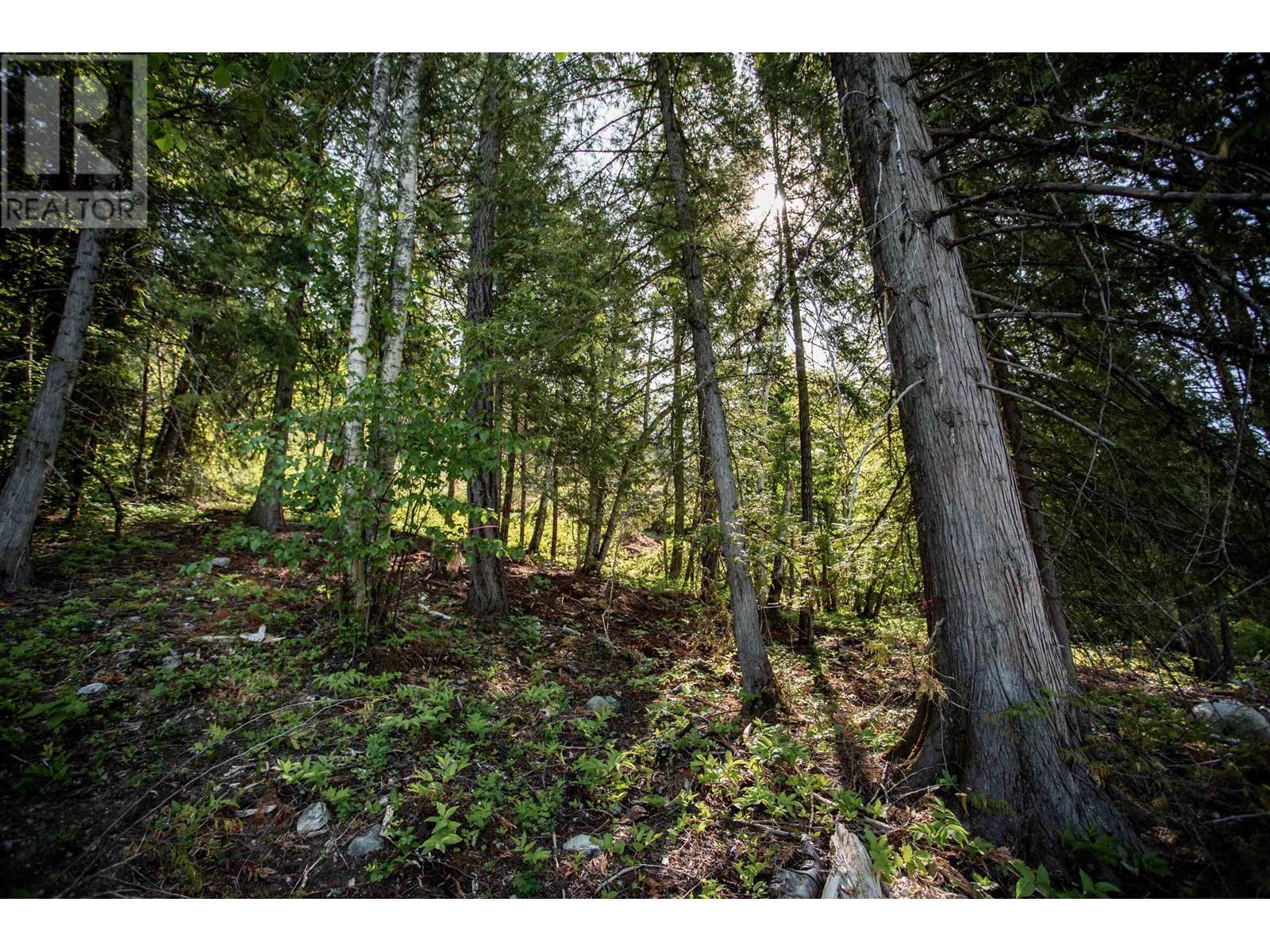 9005 Sun God Mountain Way, Pemberton, British Columbia V0N 2L3 - Photo 3 - R2891231