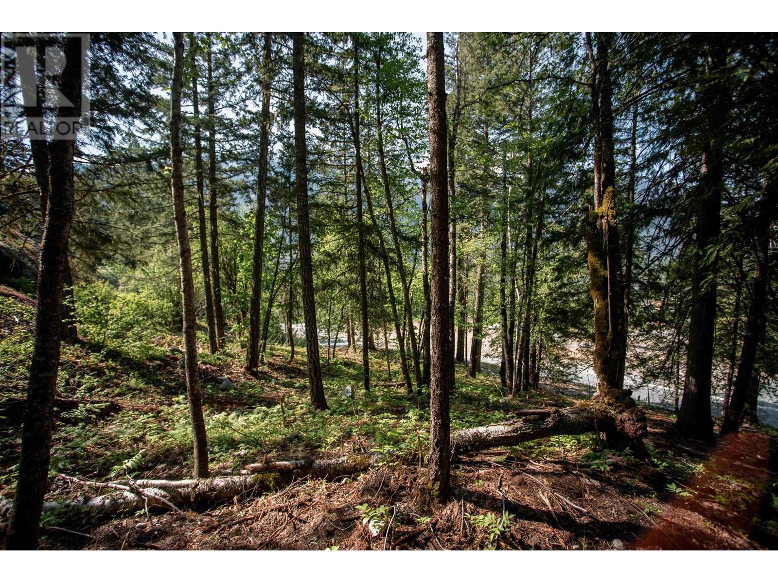 9005 Sun God Mountain Way, Pemberton, British Columbia V0N 2L3 - Photo 5 - R2891231