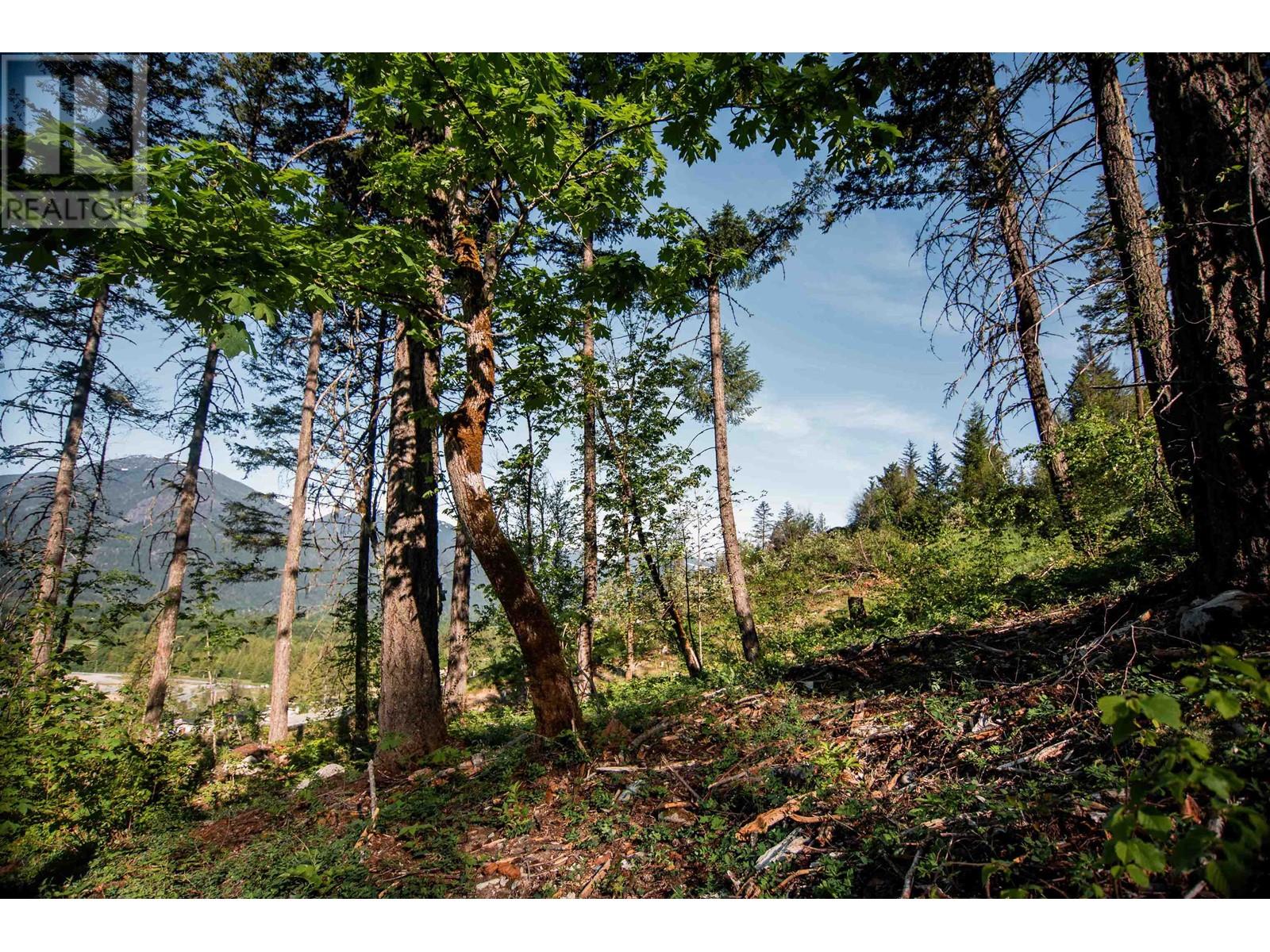 9000 Sun God Mountain Way, Pemberton, British Columbia V0N 2L3 - Photo 4 - R2891223