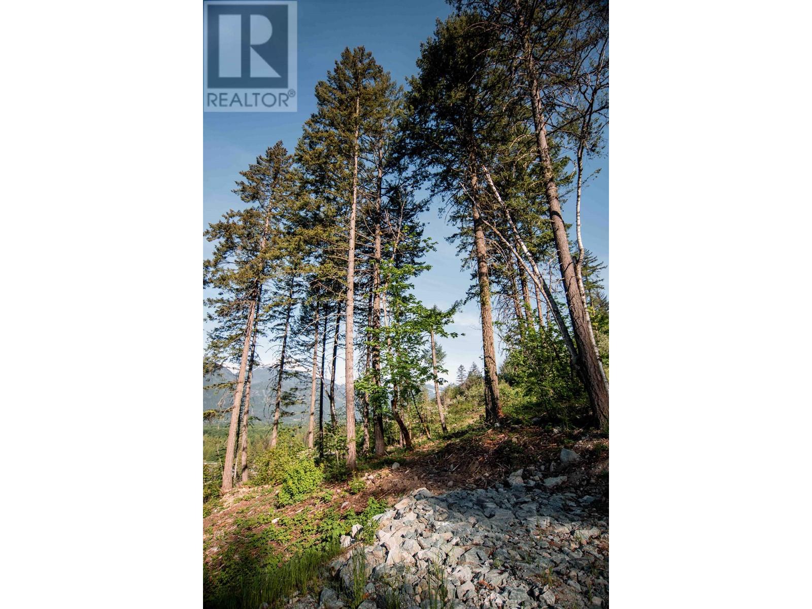 9000 Sun God Mountain Way, Pemberton, British Columbia V0N 2L3 - Photo 7 - R2891223
