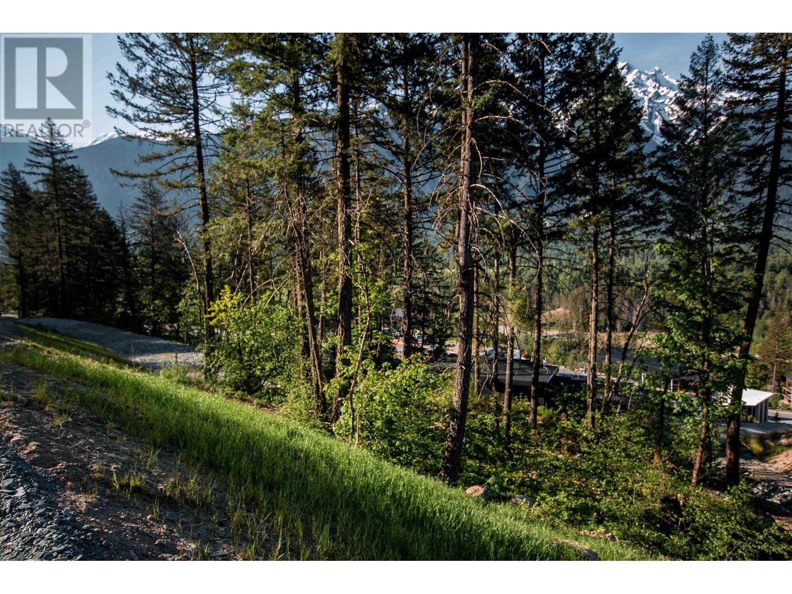 9000 Sun God Mountain Way, Pemberton, British Columbia V0N 2L3 - Photo 8 - R2891223