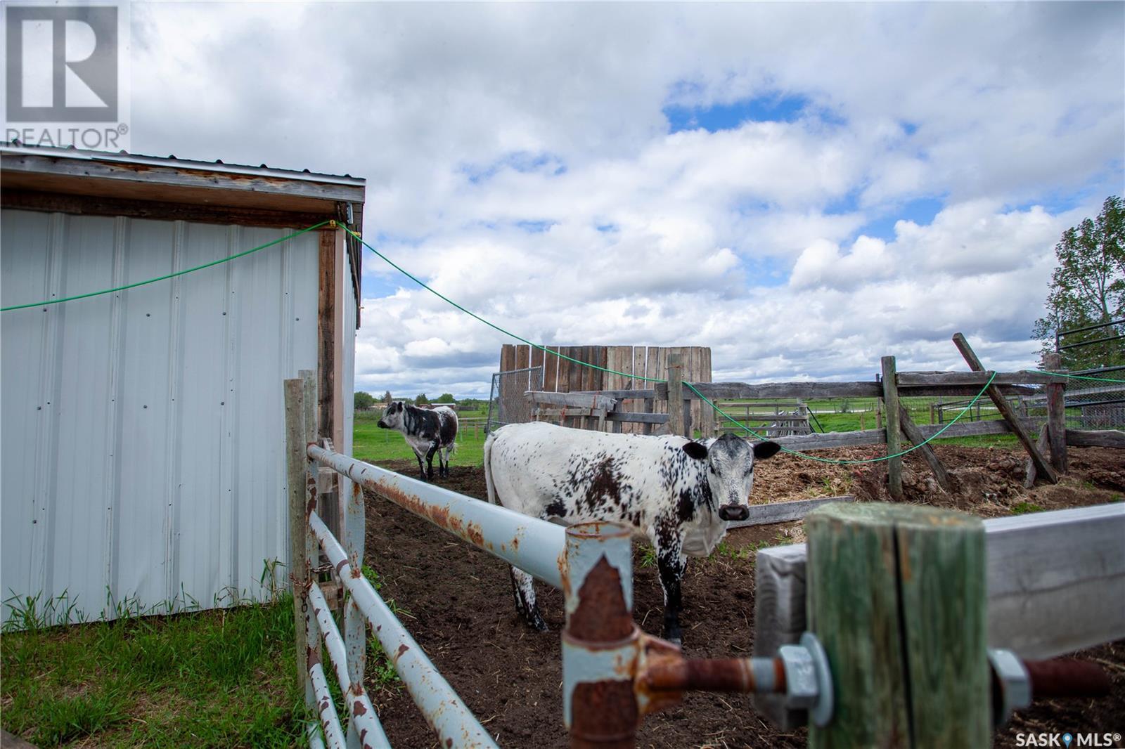 Tallman Acreage, Vanscoy, Saskatchewan  S0L 3J0 - Photo 25 - SK972879