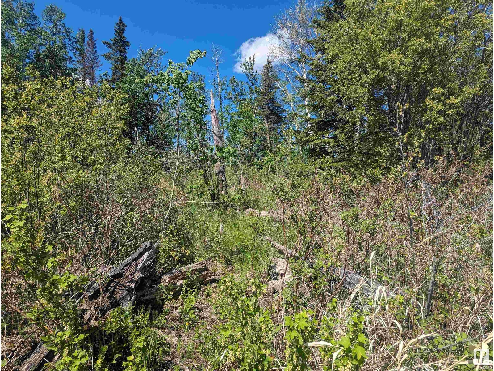 Hwy 633 Range Rd 55, Rural Lac Ste. Anne County, Alberta  T0E 0L0 - Photo 6 - E4391394