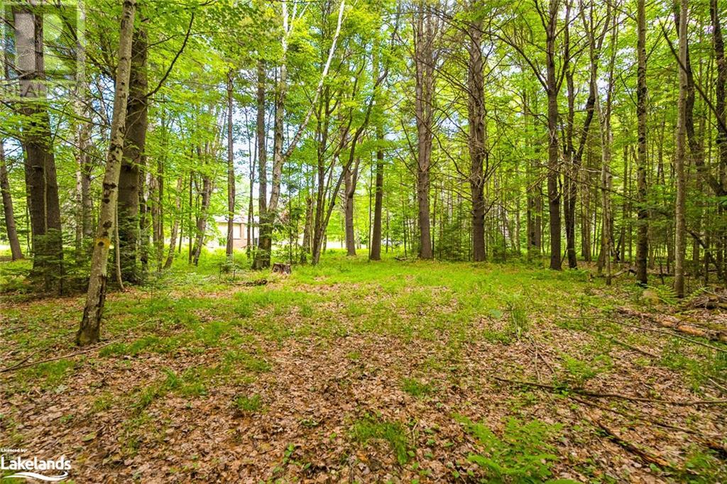 1715 Ingoldsby Road, Minden Hills, Ontario  K0M 2K0 - Photo 39 - 40601059