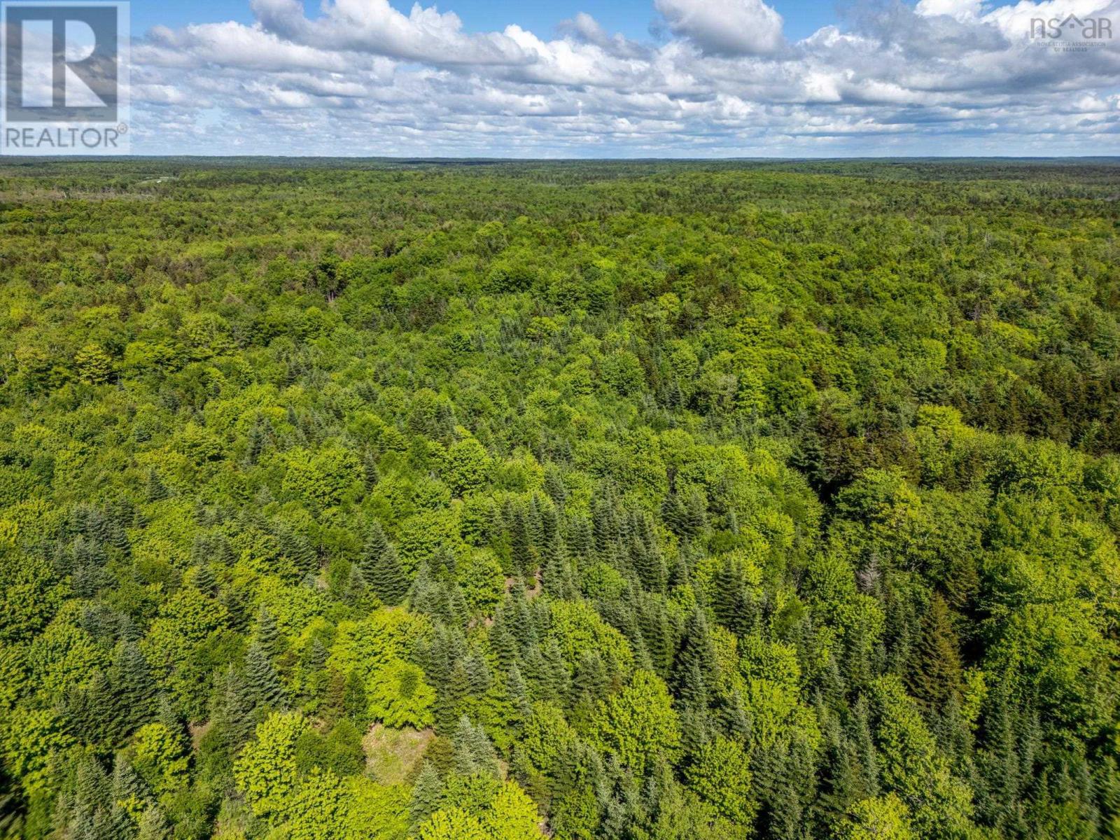 1253 Hilltown Road, Hilltown, Nova Scotia  B0W 3T0 - Photo 14 - 202413078