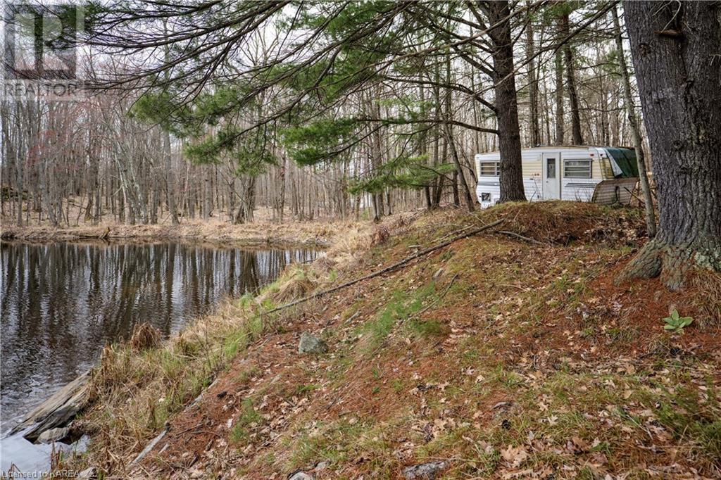 Old Sulphide Road, Kaladar, Ontario  K0K 3A0 - Photo 13 - 40602414