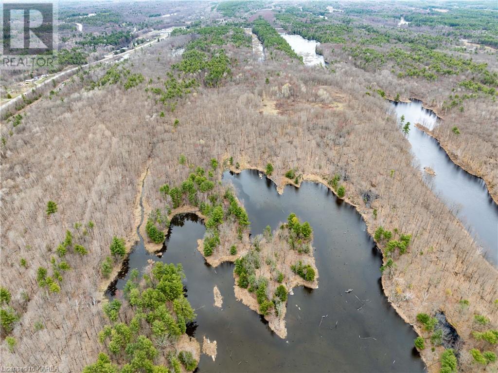 Old Sulphide Road, Kaladar, Ontario  K0K 3A0 - Photo 17 - 40602414