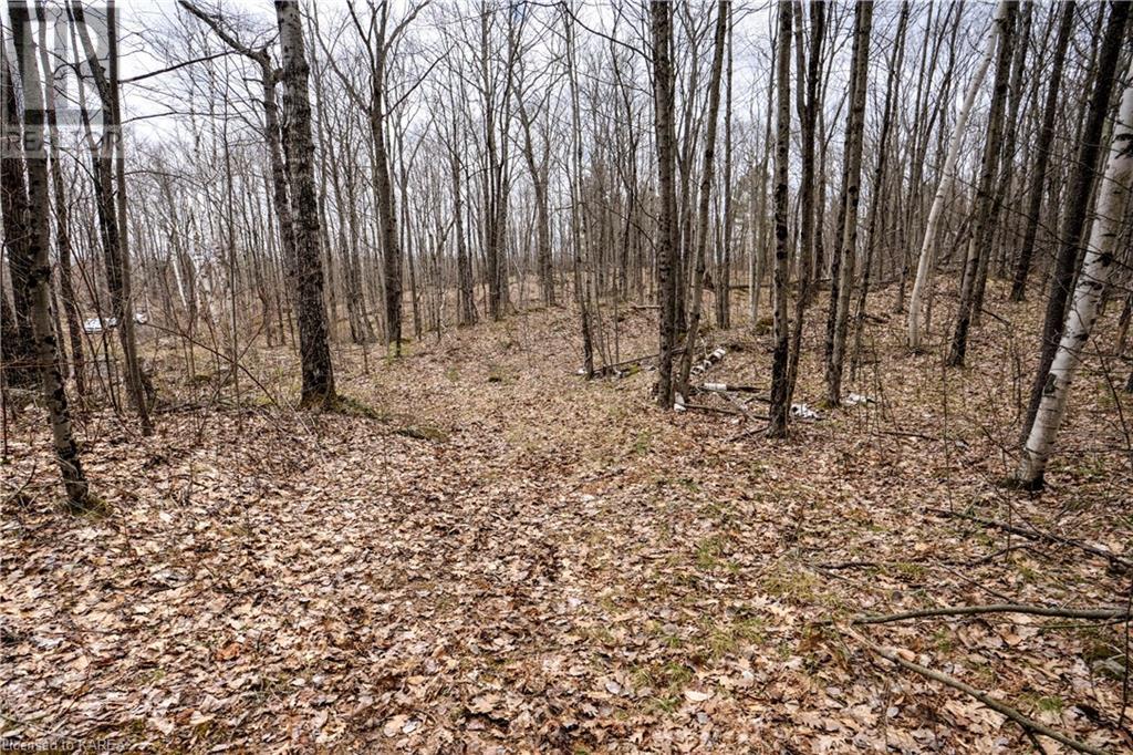 Old Sulphide Road, Kaladar, Ontario  K0K 3A0 - Photo 19 - 40602414