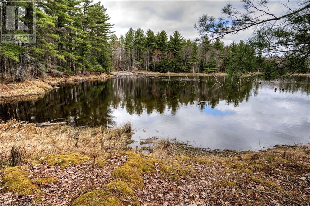 Old Sulphide Road, Kaladar, Ontario  K0K 3A0 - Photo 28 - 40602414