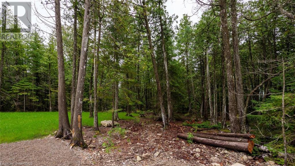 147 Dorcas Bay Road, Northern Bruce Peninsula, Ontario  N0H 2R0 - Photo 42 - 40601518