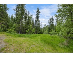 Lot 16 SELKIRK ROAD