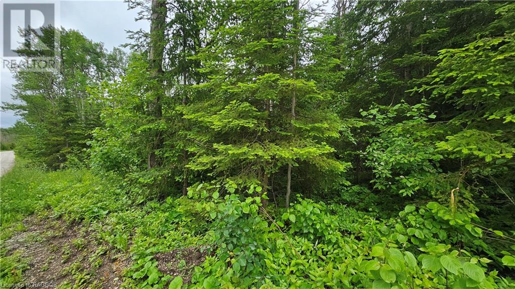 Pt Lt 35 Hardwick Cove Road, Northern Bruce Peninsula, Ontario  N0H 1W0 - Photo 3 - 40598923