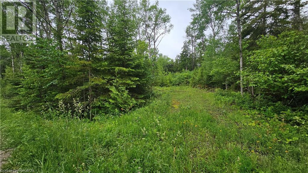 Pt Lt 35 Hardwick Cove Road, Northern Bruce Peninsula, Ontario  N0H 1W0 - Photo 2 - 40598923