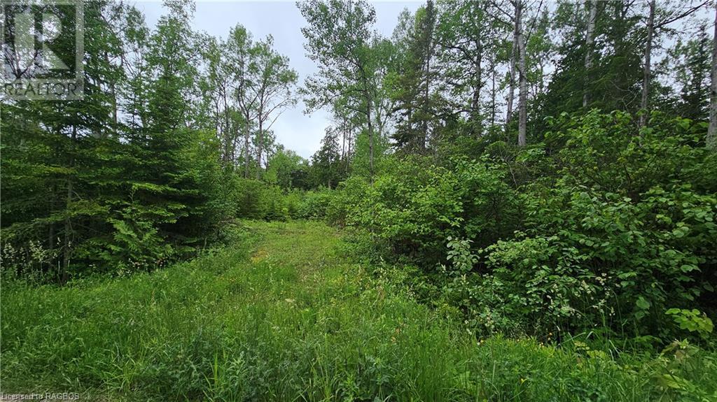 Pt Lt 35 Hardwick Cove Road, Northern Bruce Peninsula, Ontario  N0H 1W0 - Photo 5 - 40598923