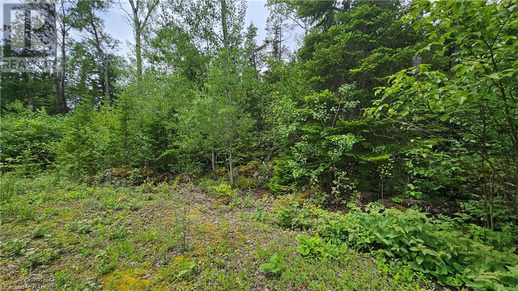 Pt Lt 35 Hardwick Cove Road, Northern Bruce Peninsula, Ontario  N0H 1W0 - Photo 6 - 40598923