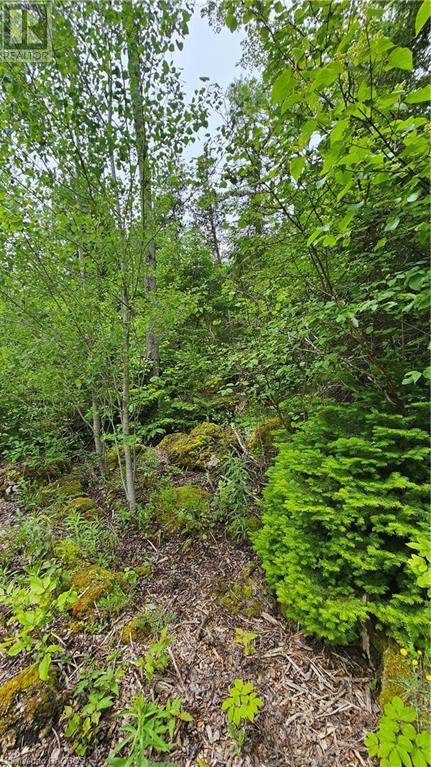 Pt Lt 35 Hardwick Cove Road, Northern Bruce Peninsula, Ontario  N0H 1W0 - Photo 7 - 40598923