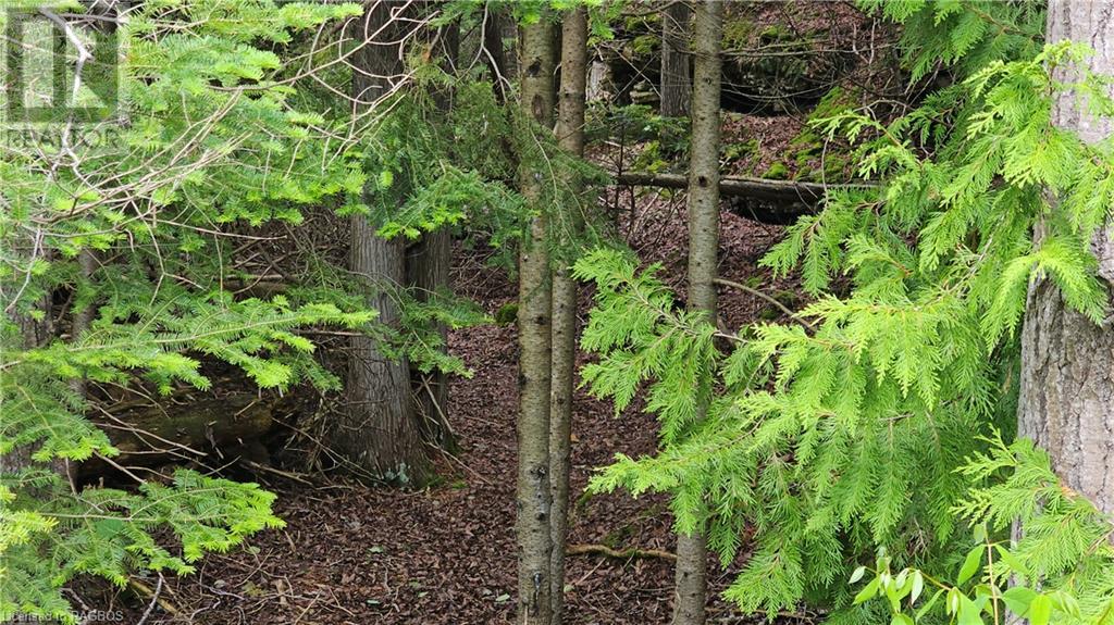 Pt Lt 35 Hardwick Cove Road, Northern Bruce Peninsula, Ontario  N0H 1W0 - Photo 9 - 40598923