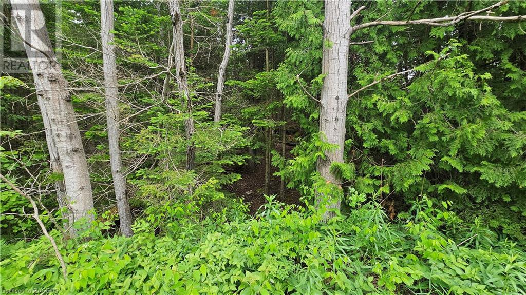 Pt Lt 35 Hardwick Cove Road, Northern Bruce Peninsula, Ontario  N0H 1W0 - Photo 12 - 40598923