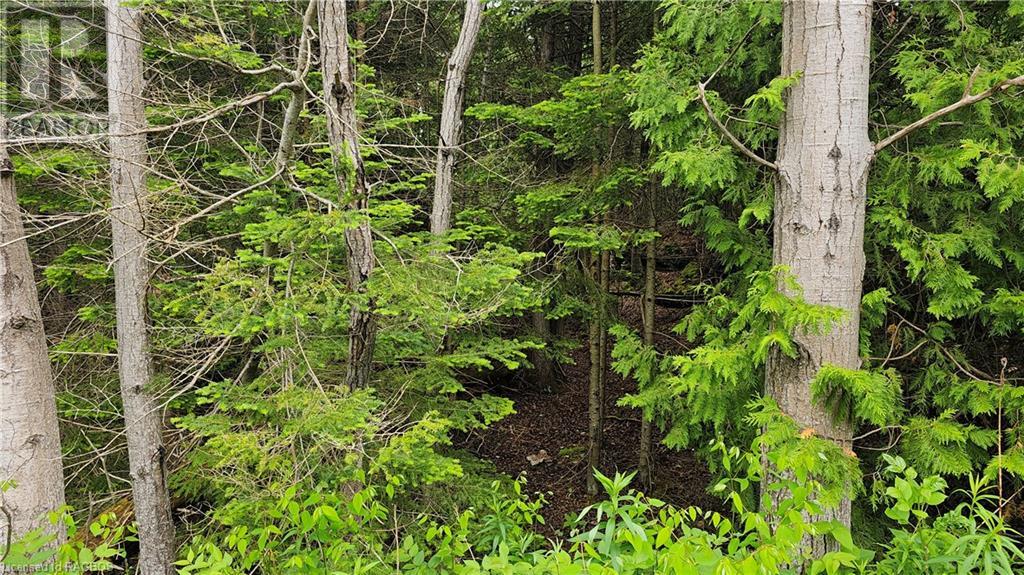 Pt Lt 35 Hardwick Cove Road, Northern Bruce Peninsula, Ontario  N0H 1W0 - Photo 11 - 40598923