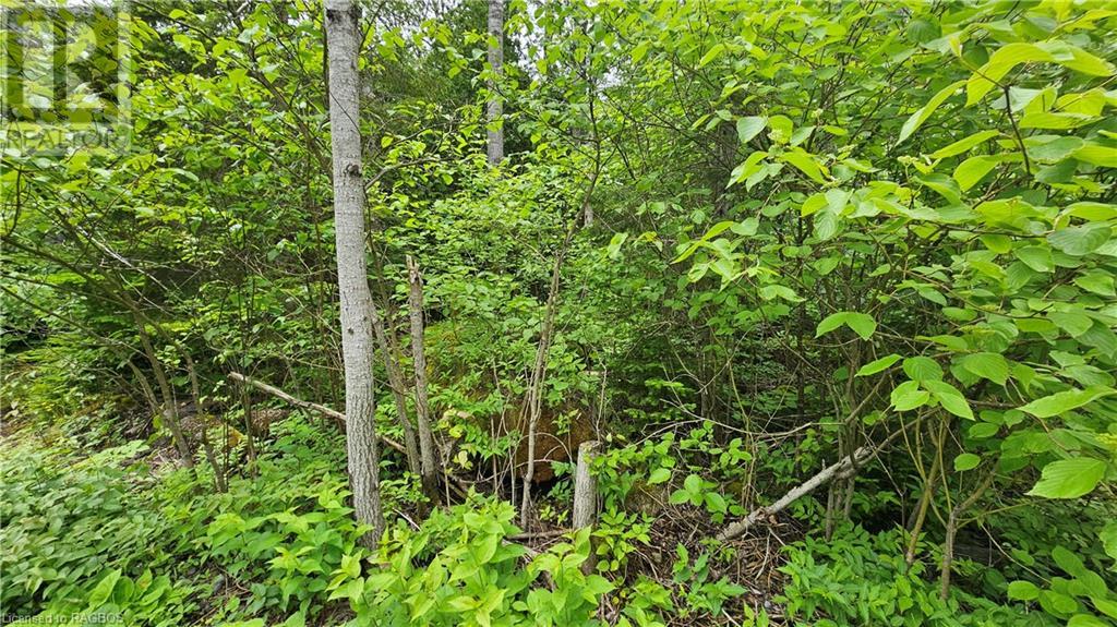 Pt Lt 35 Hardwick Cove Road, Northern Bruce Peninsula, Ontario  N0H 1W0 - Photo 8 - 40598923