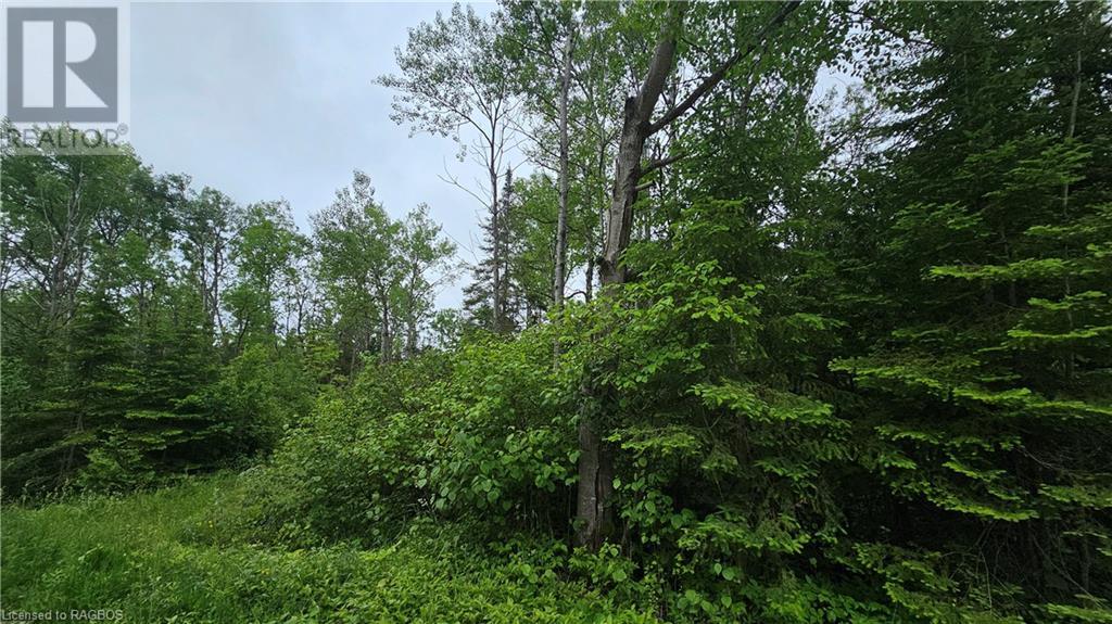 Pt Lt 35 Hardwick Cove Road, Northern Bruce Peninsula, Ontario  N0H 1W0 - Photo 4 - 40598923