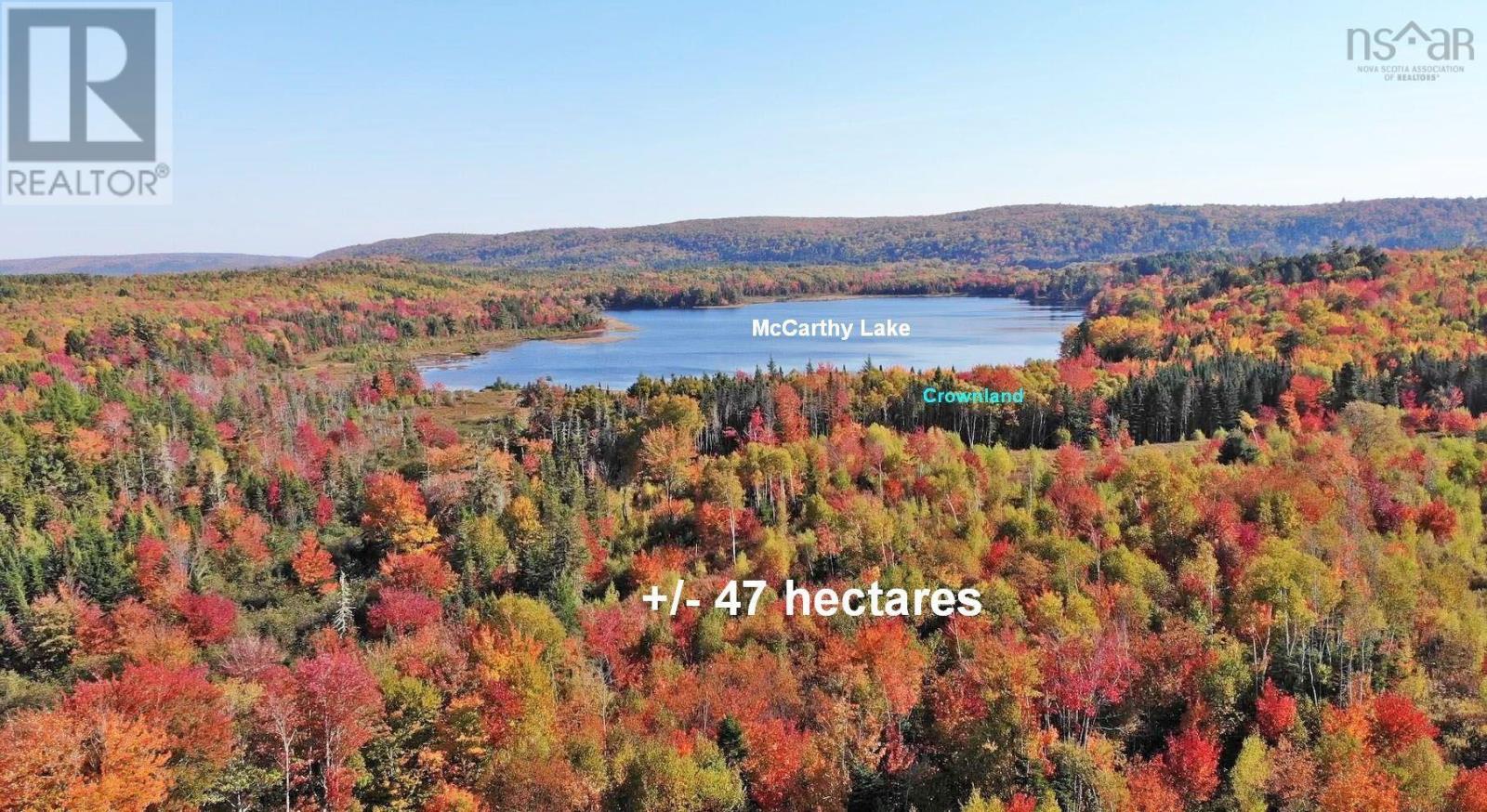 116.5 Acres 348 Highway, West River Road, Smithfield, Nova Scotia  B0H 1E0 - Photo 13 - 202403305