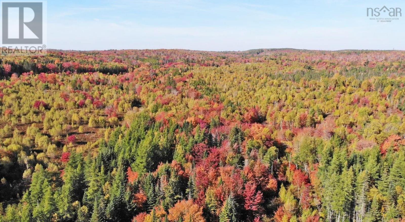 116.5 Acres 348 Highway, West River Road, Smithfield, Nova Scotia  B0H 1E0 - Photo 17 - 202403305