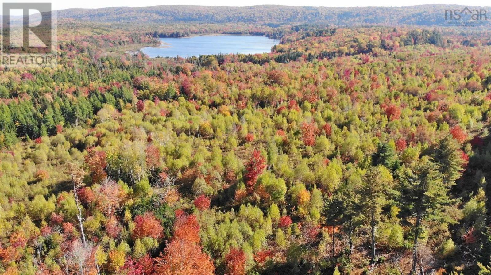 116.5 Acres 348 Highway, West River Road, Smithfield, Nova Scotia  B0H 1E0 - Photo 18 - 202403305