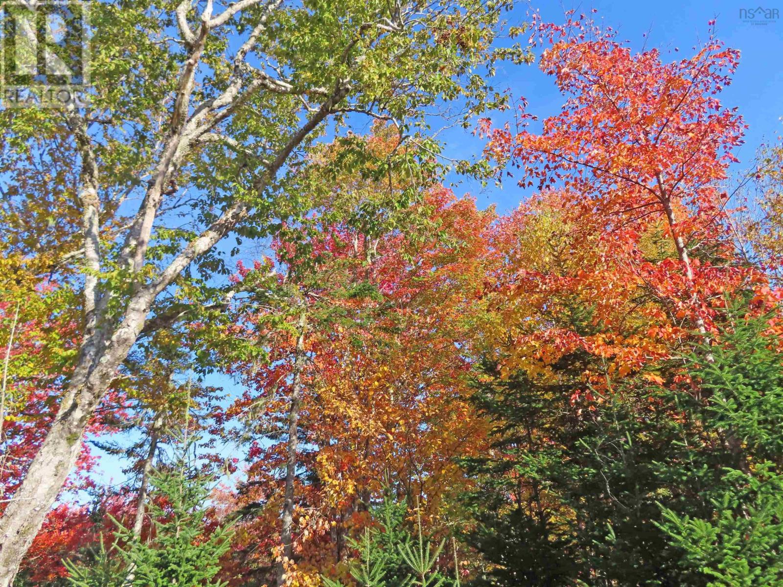 116.5 Acres 348 Highway, West River Road, Smithfield, Nova Scotia  B0H 1E0 - Photo 19 - 202403305