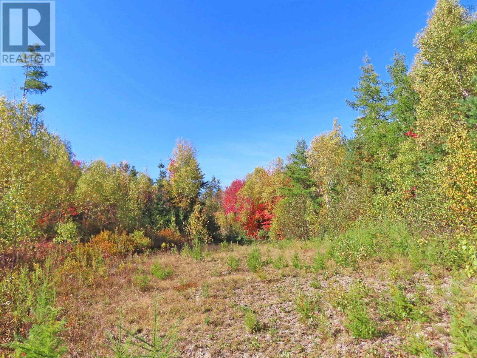 116.5 Acres 348 Highway, West River Road, Smithfield, Nova Scotia  B0H 1E0 - Photo 23 - 202403305