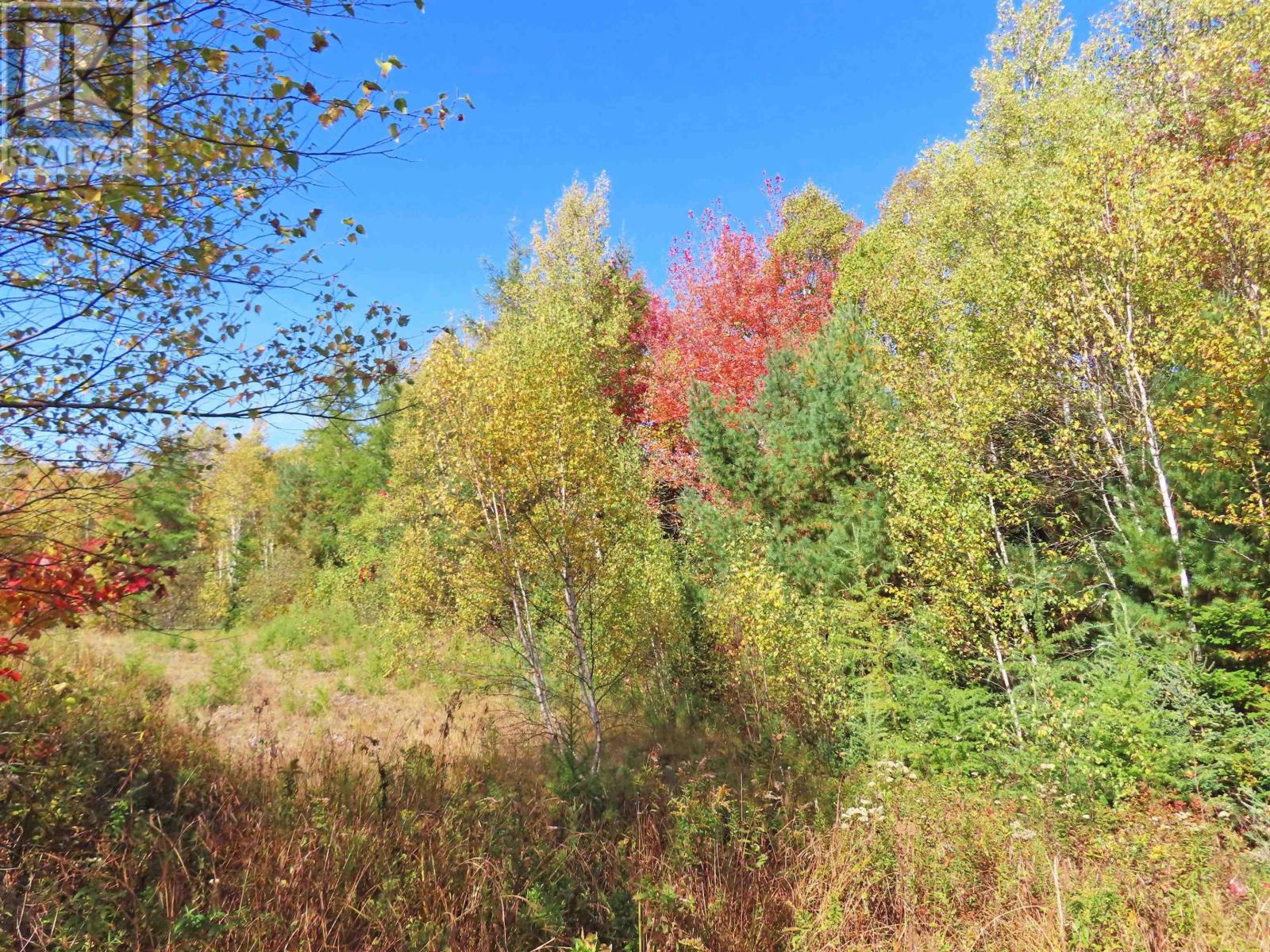 116.5 Acres 348 Highway, West River Road, Smithfield, Nova Scotia  B0H 1E0 - Photo 25 - 202403305