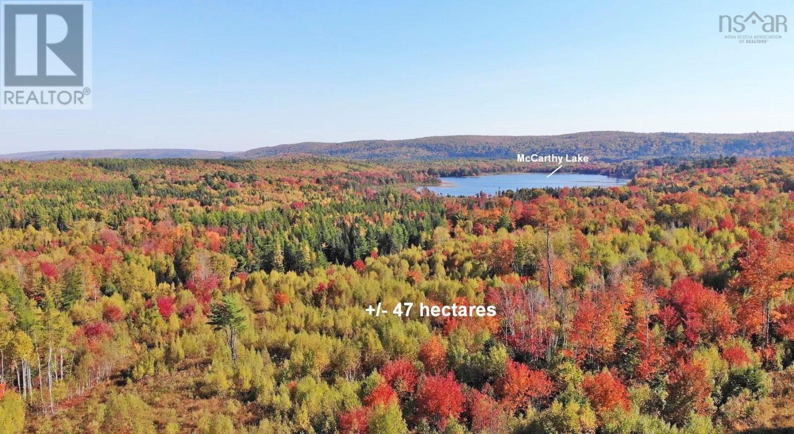 116.5 Acres 348 Highway, West River Road, Smithfield, Nova Scotia  B0H 1E0 - Photo 3 - 202403305