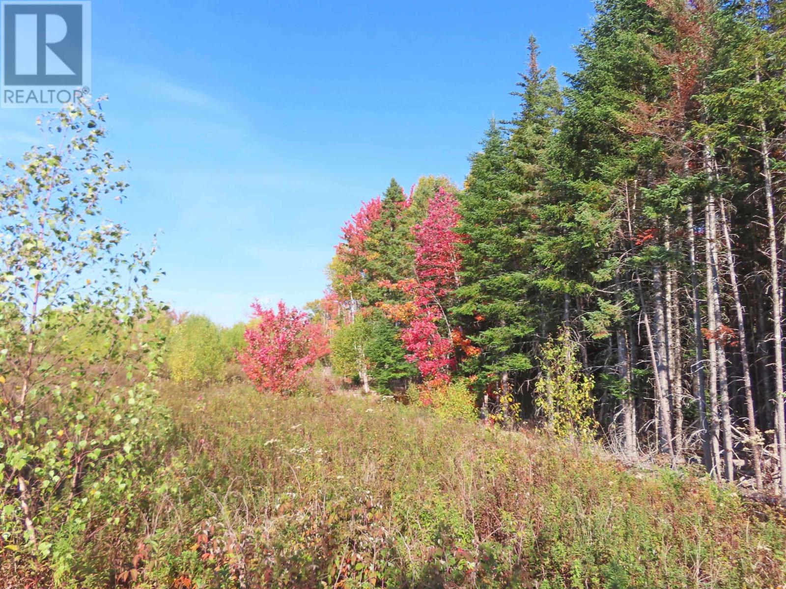 116.5 Acres 348 Highway, West River Road, Smithfield, Nova Scotia  B0H 1E0 - Photo 30 - 202403305