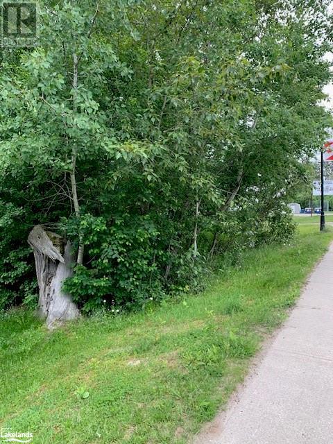 0 SOUTH SPARKS Street, magnetawan, Ontario