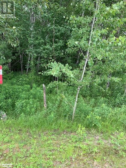 0 South Sparks Street, Magnetawan, Ontario  P0A 1P0 - Photo 2 - 40602784