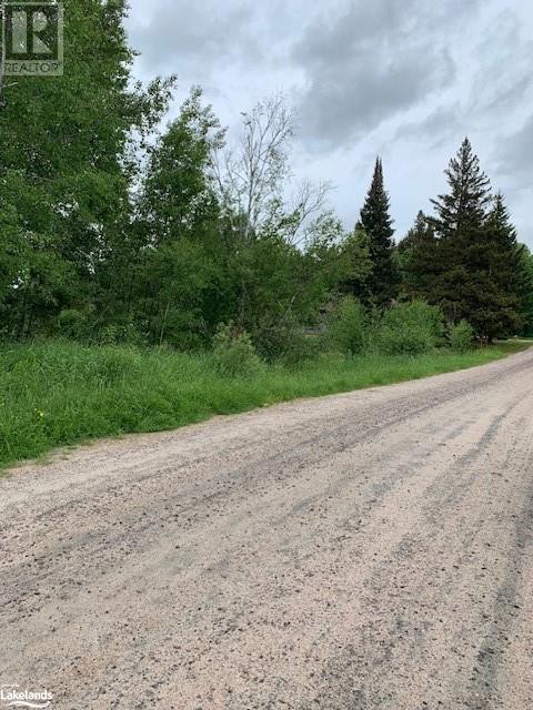 0 South Sparks Street, Magnetawan, Ontario  P0A 1P0 - Photo 3 - 40602784