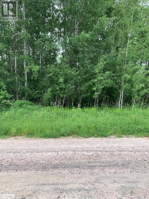 0 South Sparks Street, Magnetawan, Ontario  P0A 1P0 - Photo 5 - 40602784