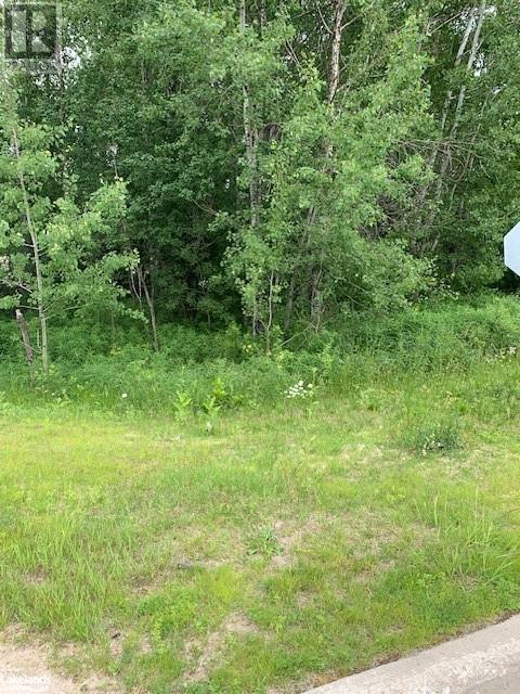 0 South Sparks Street, Magnetawan, Ontario  P0A 1P0 - Photo 6 - 40602784