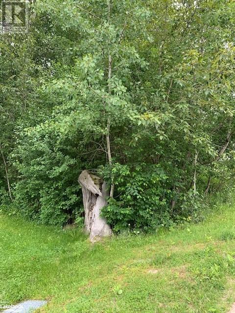 0 South Sparks Street, Magnetawan, Ontario  P0A 1P0 - Photo 7 - 40602784